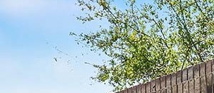 Tampa Fl Apartments Bayvue